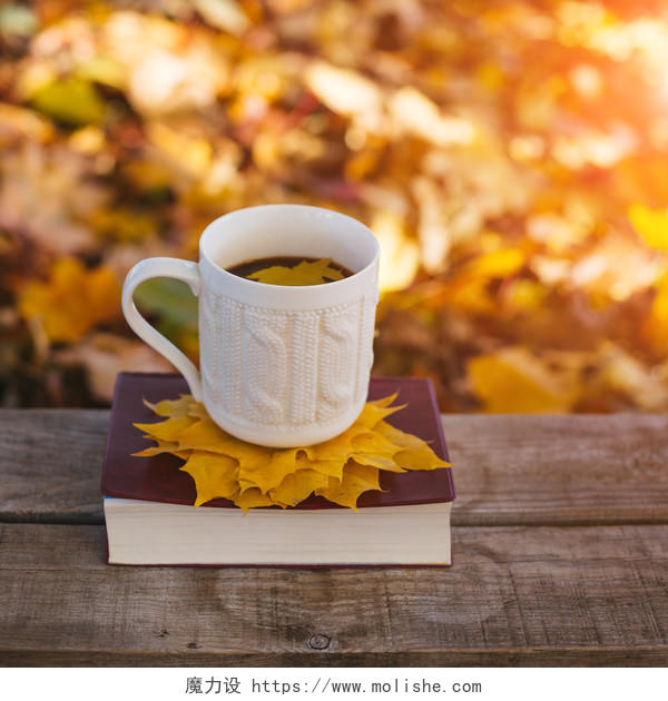 秋天季节杯子和书放在木板上放松二十四节气24节气立秋秋分